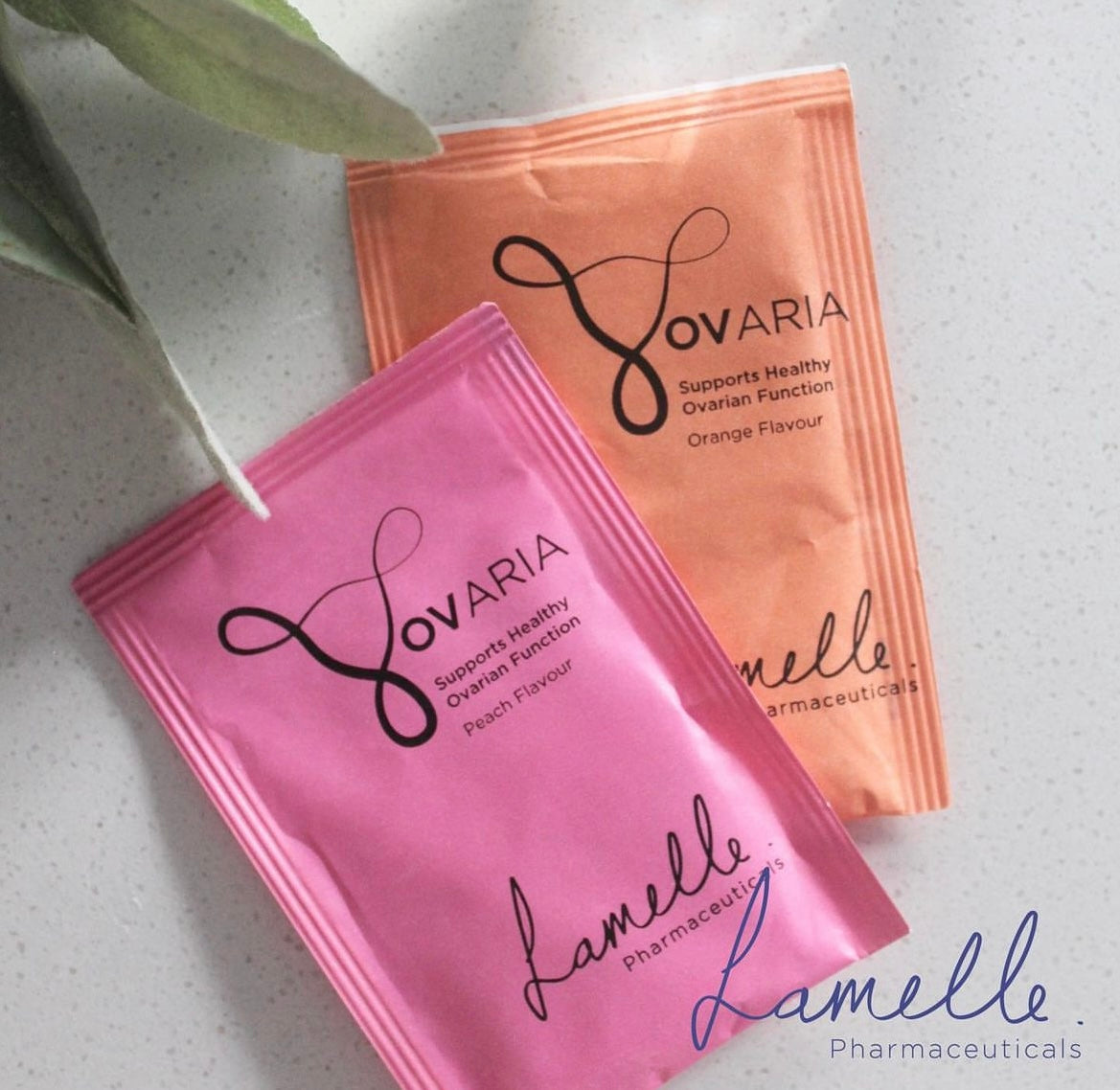 Ovaria |Bundle
